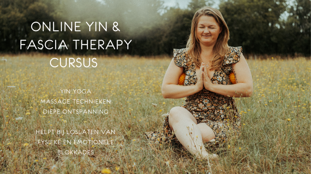 Yin & Fascia Therapie Cursus