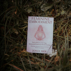 Feminine Embodiment Boek + Bundel